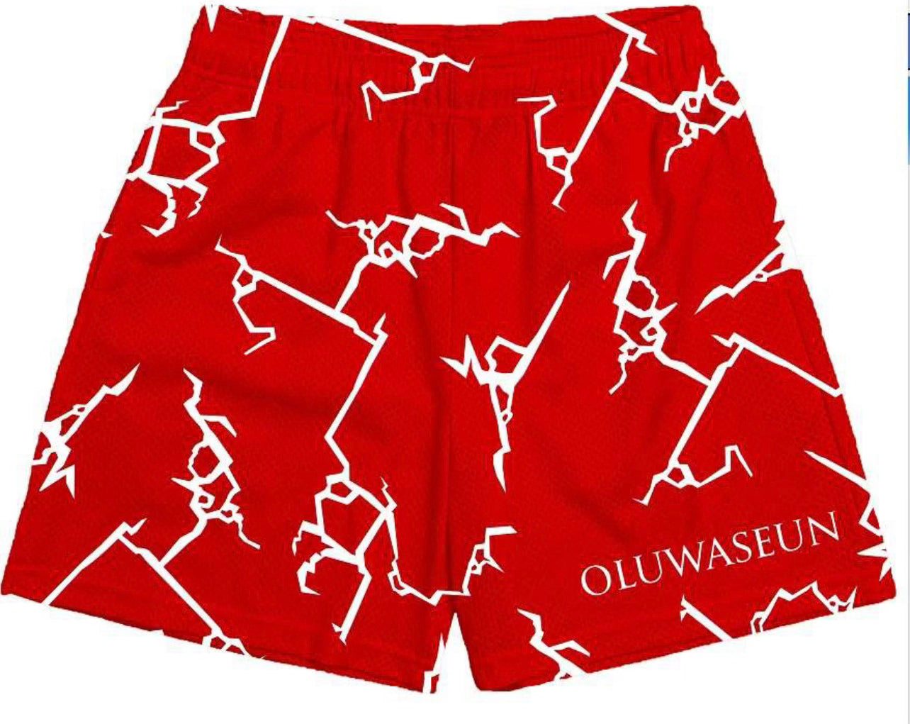 (*PRE ORDER) Oluwaseun-shorts™