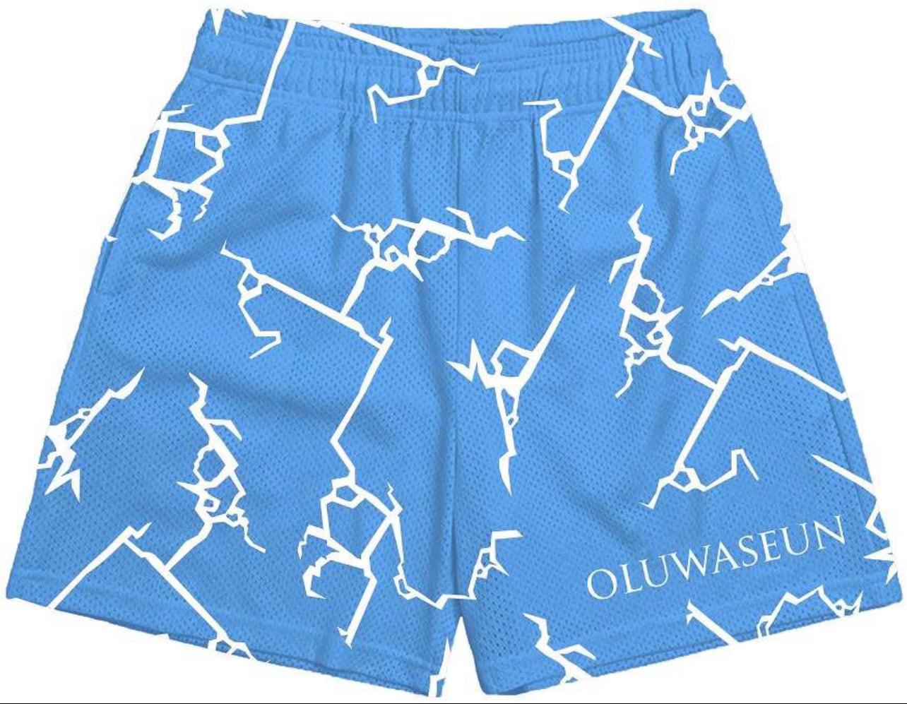 (*PRE ORDER) Oluwaseun-shorts™